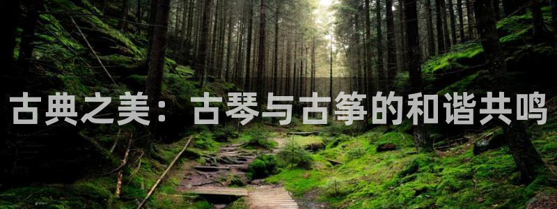 凯发k8ag85856:古典之美:古琴与古筝的和谐共鸣