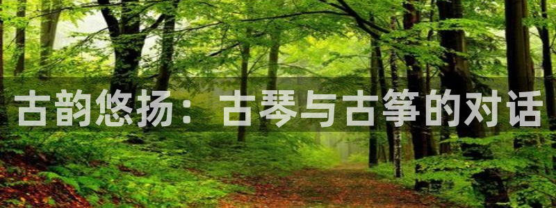 凯发平台开户:古韵悠扬:古琴与古筝的对话