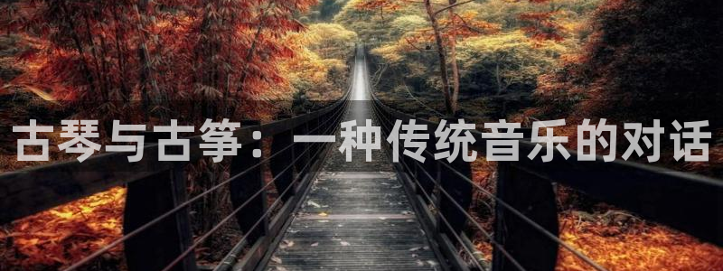 凯发国际官网下载:古琴与古筝:一种传统音乐的对话