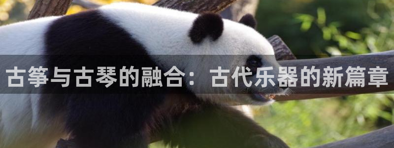 凯发国际是什么投资平台:古筝与古琴的融合:古代乐器的新篇章